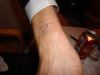 DSC01474.JPG - 2009:09:20 00:27:44