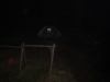 DSC01490.JPG - 2009:09:20 01:06:20