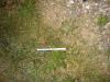 DSC01503.JPG - 2009:09:20 02:53:52