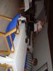 DSC01511.JPG - 2009:09:20 03:34:32