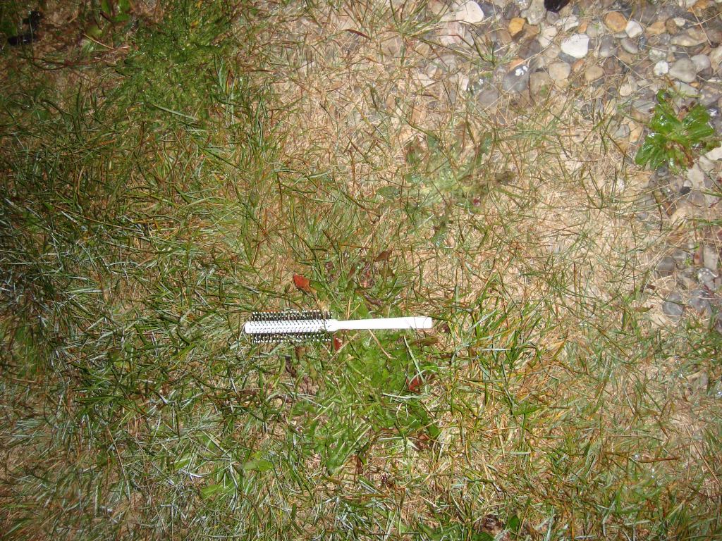 * Image 93