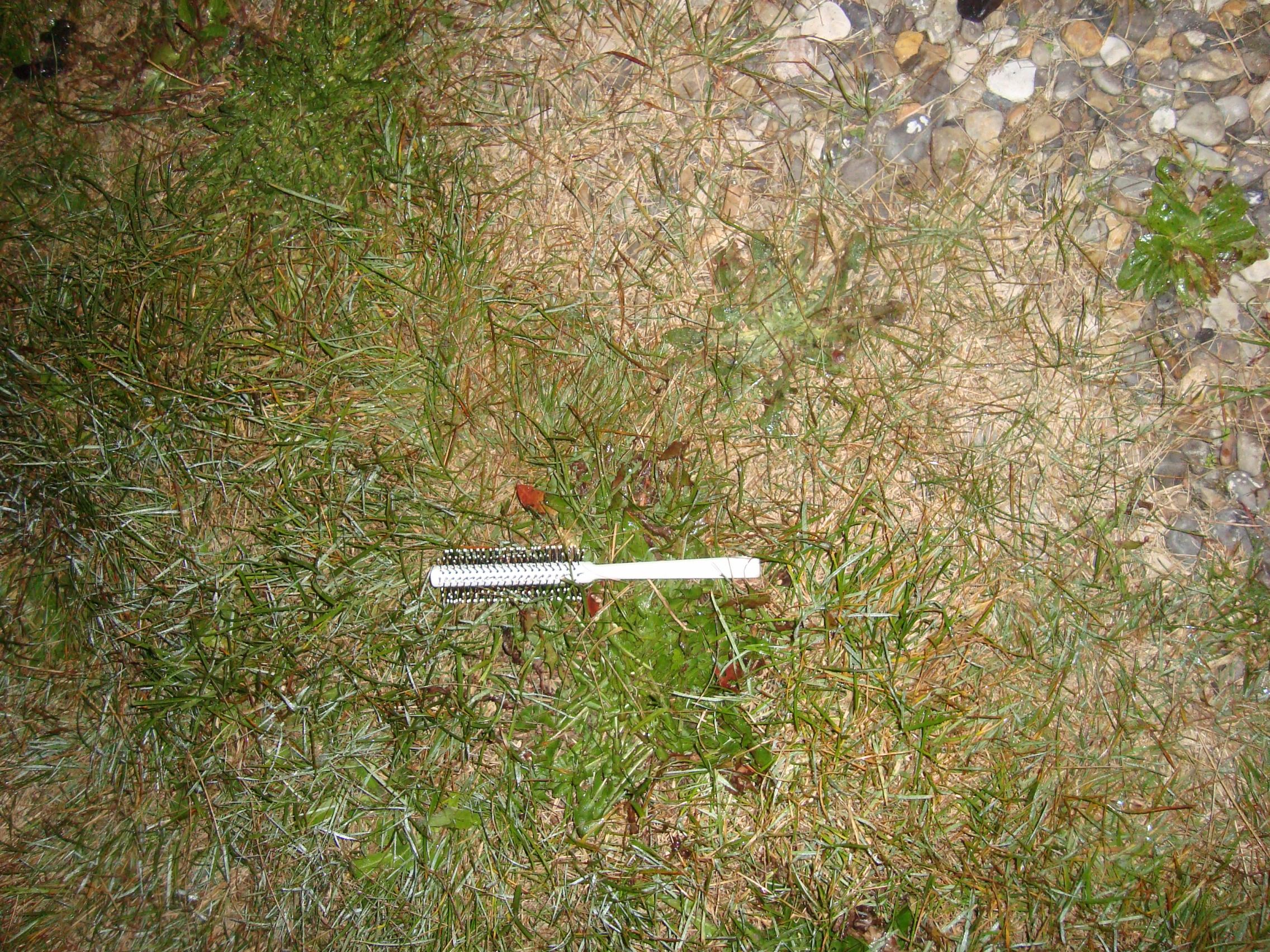 * Image 93