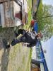 20240510 145211 Tungelem.jpg - 2024:05:10 14:52:11