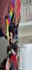 20250524_111015_Mads.jpg - 2025:05:24 11:10:15