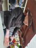 20250524_125805_Kaptajn Tunge Lem.jpg - 2025:05:24 12:58:05