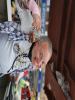 20250524_125827_Kaptajn Tunge Lem.jpg - 2025:05:24 12:58:27