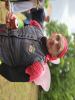 20250524_140526_Kaptajn Tunge Lem.jpg - 2025:05:24 14:05:26