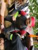 20250524_160847_Kaptajn Tunge Lem.jpg - 2025:05:24 16:08:47