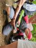20250524_160911_Kaptajn Tunge Lem.jpg - 2025:05:24 16:09:11