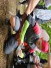 20250524_160912_Kaptajn Tunge Lem.jpg - 2025:05:24 16:09:12