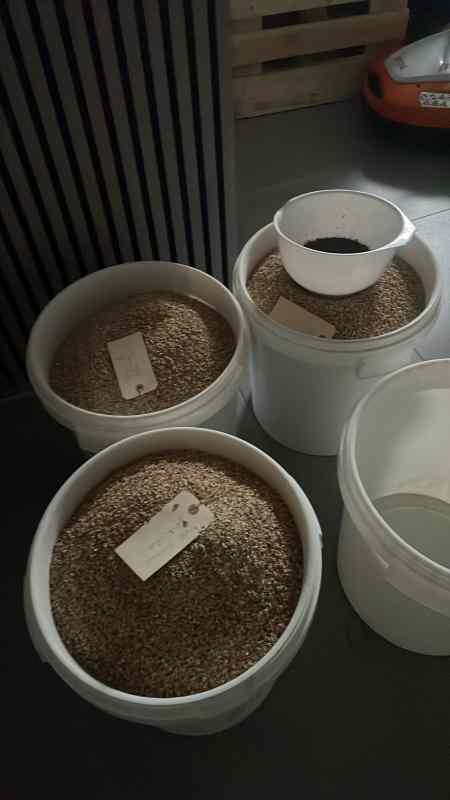 * Image 7