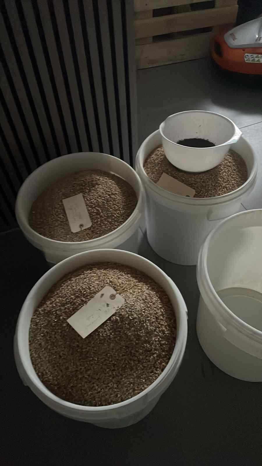* Image 7