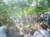 P1050014.JPG - 2026:05:23 15:54:03