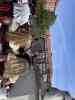 Simon Rackliff IMG_1425.jpeg - 2026:05:23 09:48:14