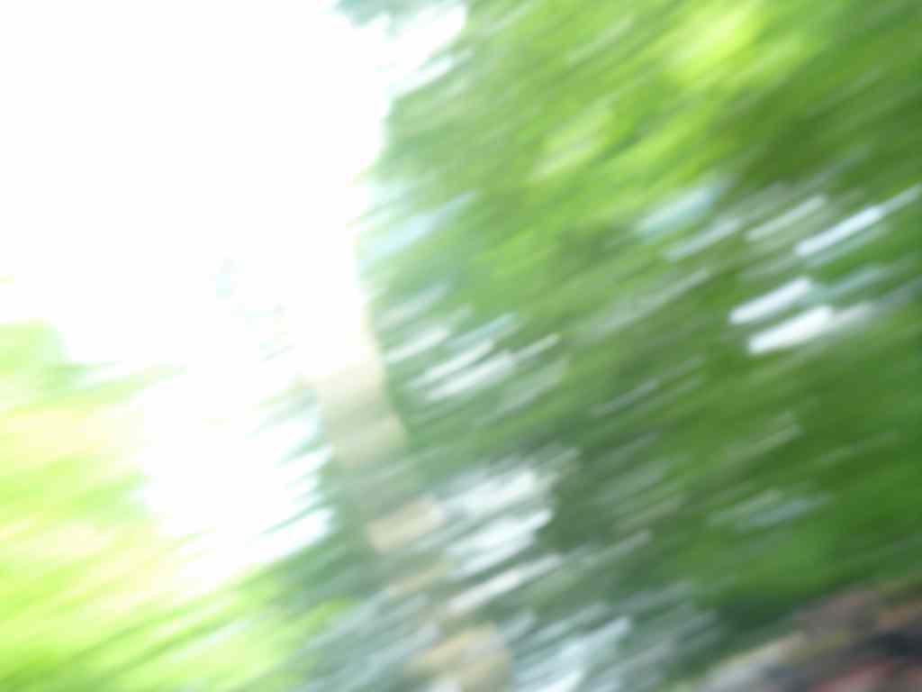 * Image 165