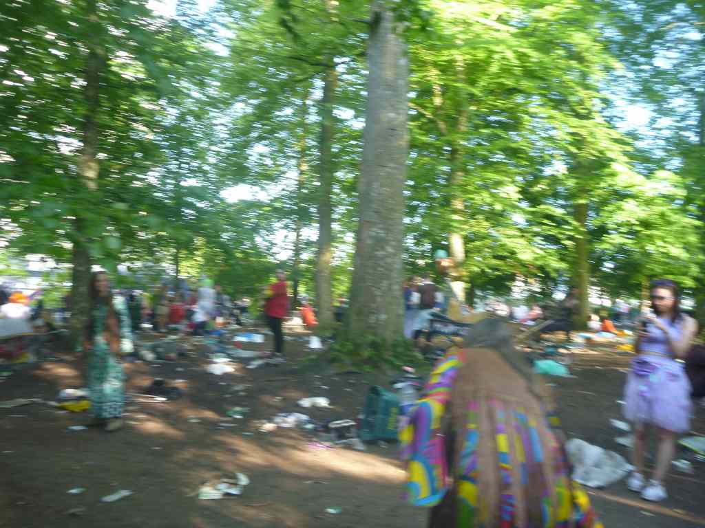 * Image 230