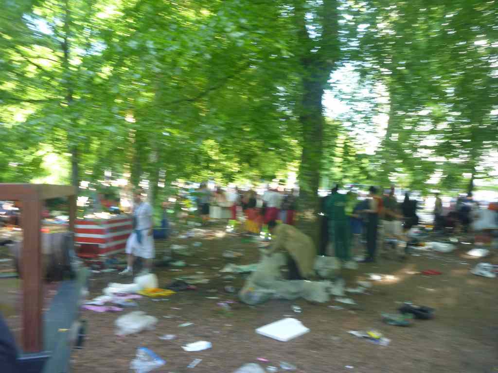 * Image 244
