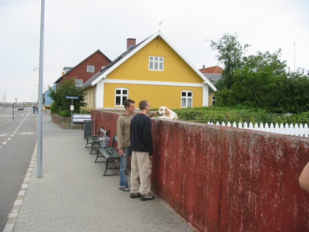 * Image 103