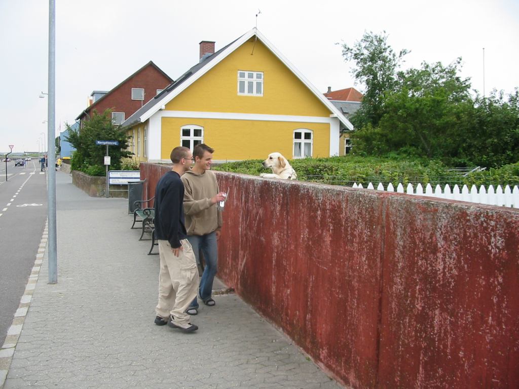 * Image 104