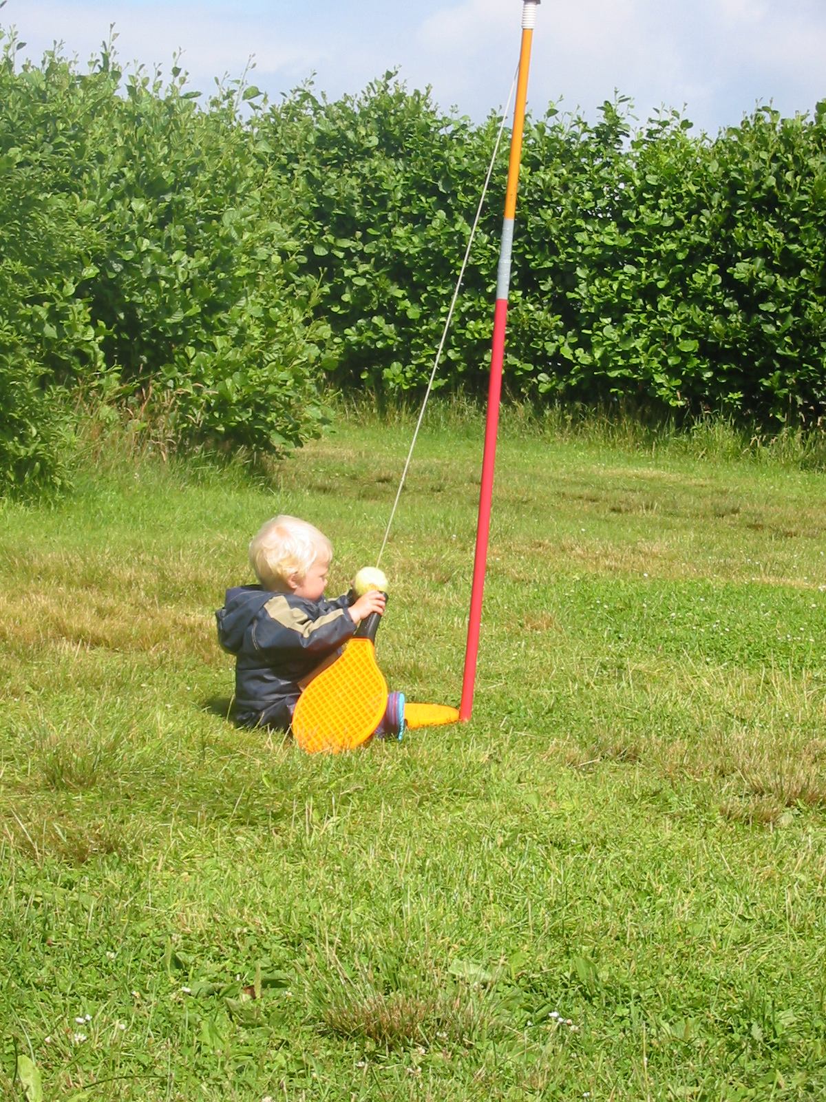 * Image 121