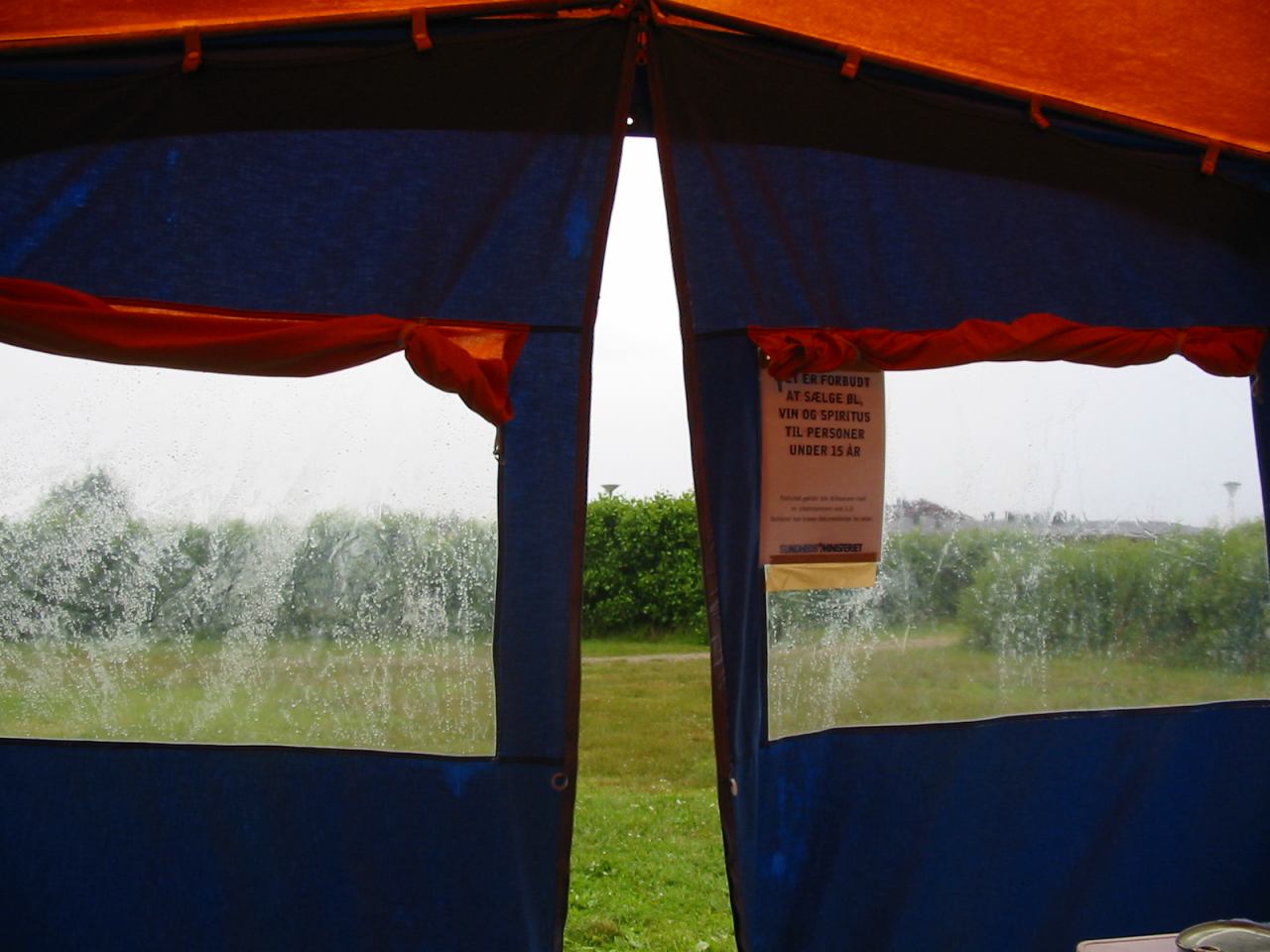 * Image 33