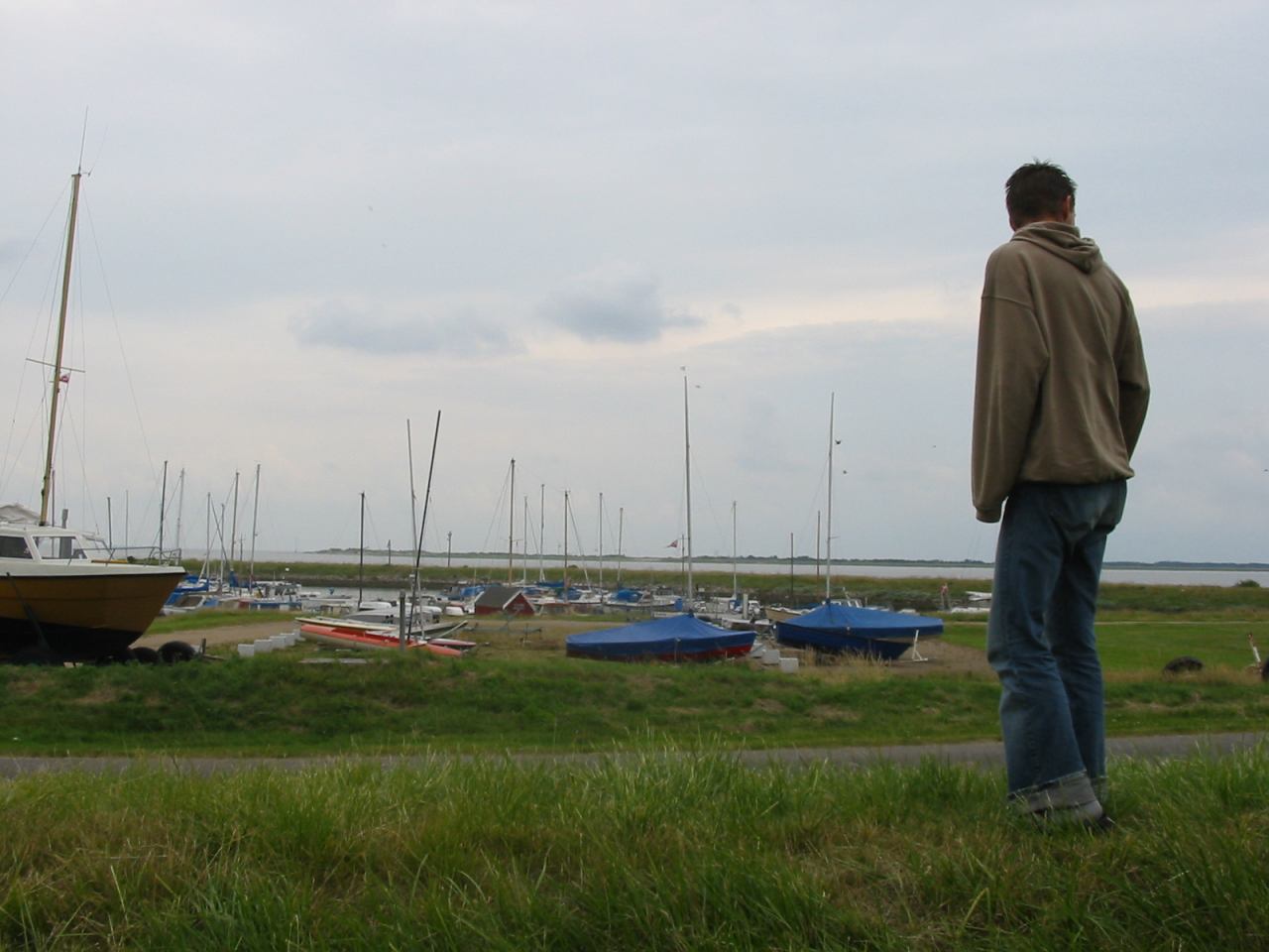 * Image 101