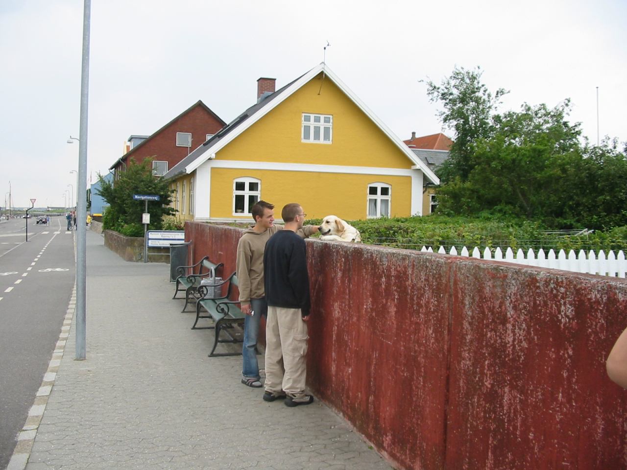 * Image 103
