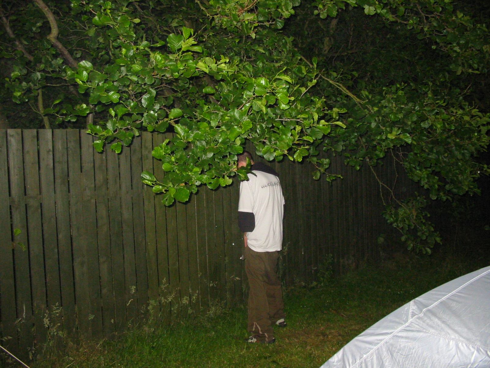 * Image 46