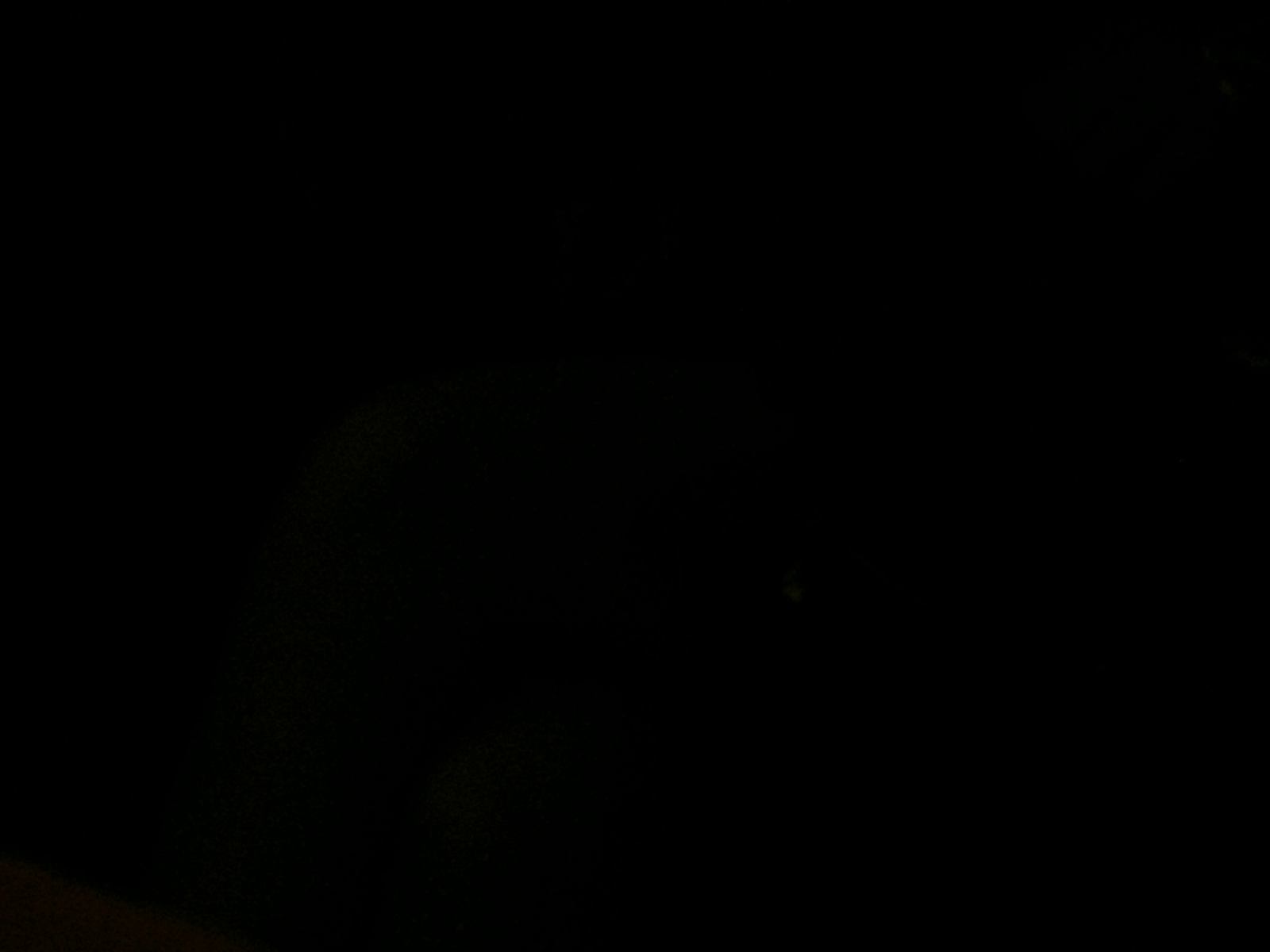 * Image 30