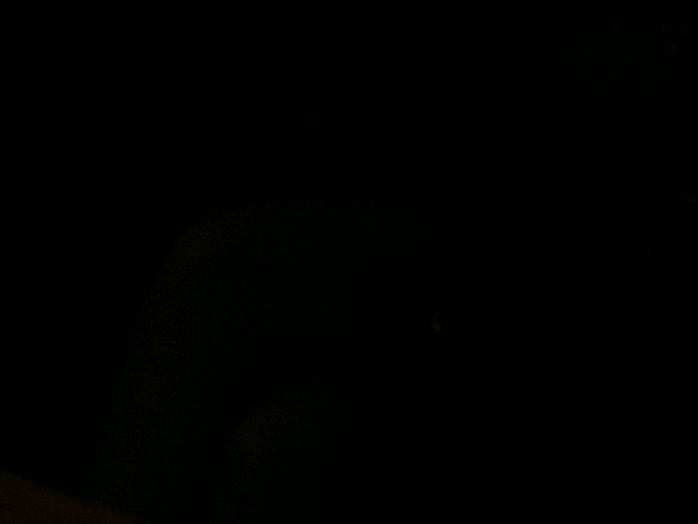 * Image 30