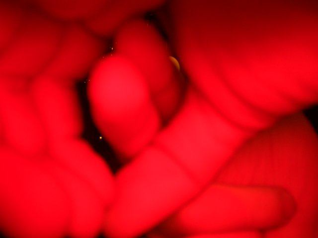 * Image 49